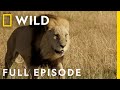 Rival dynasties  the fall of the queen full episode  savage kingdom