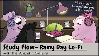 Study Flow: Amoeba Sisters Rainy Day Lo-fi Study Video - 45 Minutes