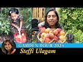 Steffi Ulagam Garden Tour 2024 | Harvesting Fruits from our Home Garden | Garden Vlog in Tamil image