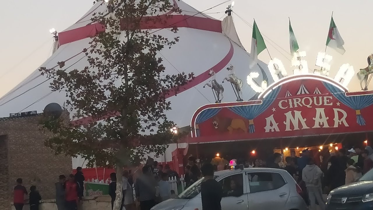 سرك عمار في ولاية سعيدة الجزء الأول 🎪، من دارك وإستمتعي بأحلى العروض: مغامرة، ترفيه، ضحك،.... 