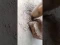 Cement Block Breaking ASMR 💥 Oddly Satisfying #shorts #cement #satisfying #trending#crush # yt.