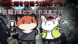 【MHW:I】仕事しろよ捜査団！古龍を連続狩り！！【ケモノVtuber】#モンスターハンター