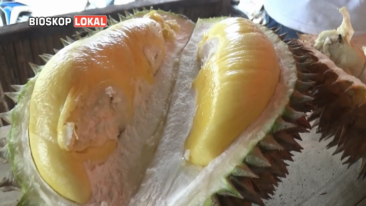 400 Gambar Durian Lucu Gokil Hd Terbaru Infobaru