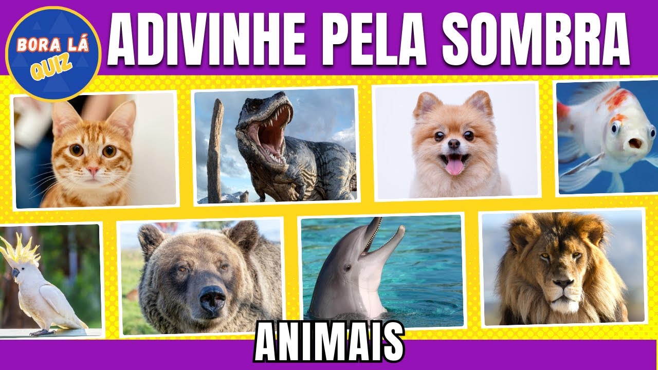 Adivinhe o animal pela sombra #adivinheoanimalpelasombra #adivinheoani