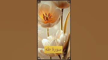 سورة طه #اكسبلور #لايك #المصحف #quran #دويتو #تيك_توك #حالات_واتس #راحة_نفسية #العظماء #صباح_الخير