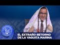 EL EXTRAÑO RETORNO DE LA VAQUITA MARINA - EL PULSO DE LA REPÚBLICA