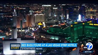 Bed bugs found at 4 popular hotels on Las Vegas Strip