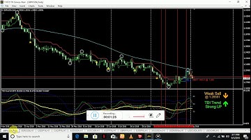 trader dynamic index