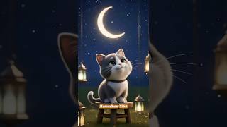 Bulan Ramadhan yang selalu dinanti #animasi #animasikucing #kucingabuabu #kucinglucu #skymin