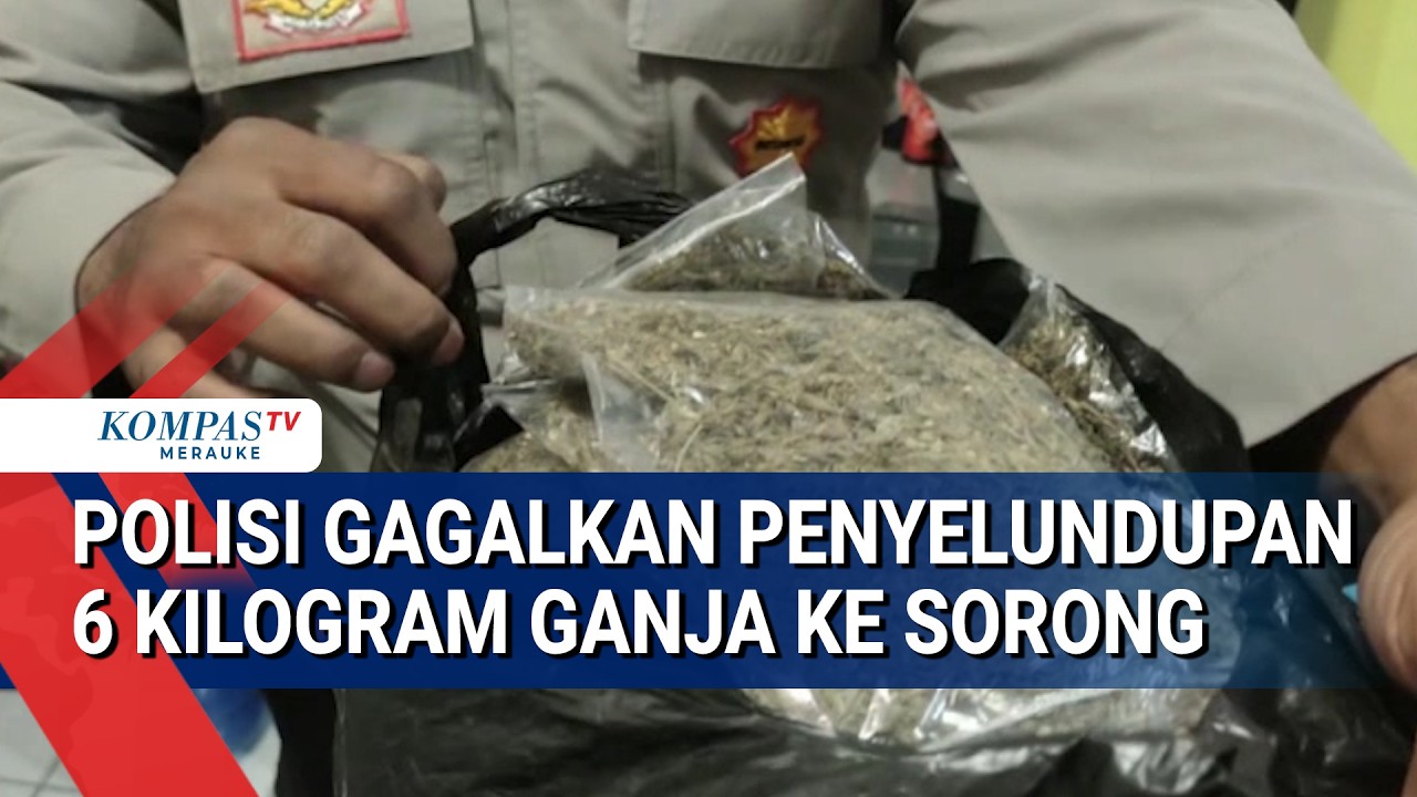 Polisi Gagalkan Penyelundupan 6 Kilogram Ganja Ke Sorong