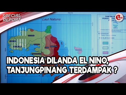 PULAU BINTAN TIDAK TERDAMPAK FENOMENA EL NINO | U-NEWS SPECIAL REPORT