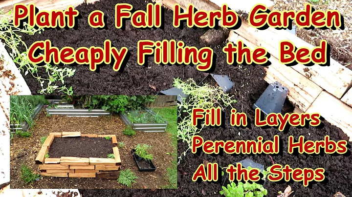 Planting a Fall Oregano, Thyme & Sage Herb Garden ...