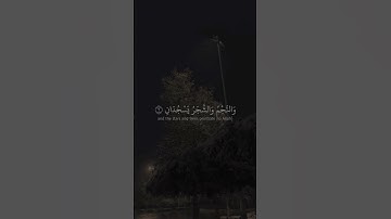 @saleem.2009 الرحمن علم القرآن خلق الإنسان سورة الرحمن  بصوت القارئ فارس عباد