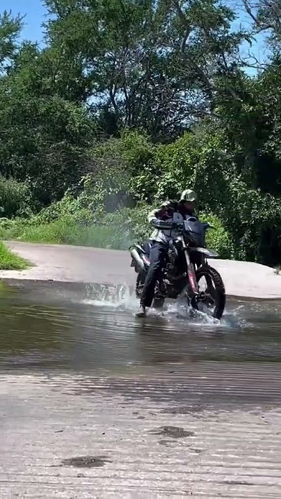 #islndbrn  #shortsfeed