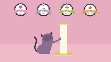 All About Cat Scratching Posts - Bayside Animal Hospital