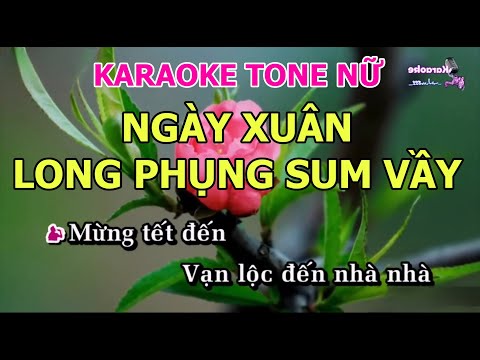 Karaoke Nhạc Tết - NGÀY XUÂN LONG PHỤNG SUM VẦY Karaoke Tone Nữ (minhvu822)