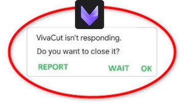 How to Fix VivaCut App isn