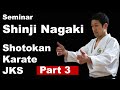 Seminar 55: Shinji Nagaki Shotokan Karate Part 3 KUMITE