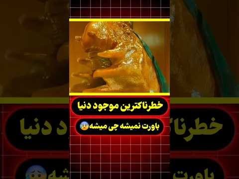 این دختر برای اولین بار حبابشو خاموش کرد حقیقتی دید که دنیاشو زیر و رو کرد
