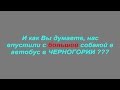 Дорога с Будвы в Херцег-Нови. Перевозка собаки в автобусах Черногории.