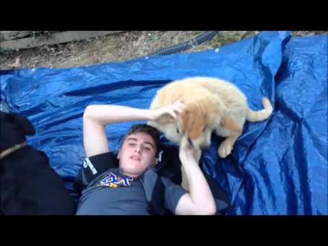 Left for Dead:Student Reenactment/USS Indianapolis Tragedy