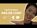 Teoria do Ballet - Pas de Chat の動画、YouTube動画。