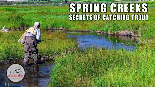 Fly Fishing: HOW TO Catch Trout - Incredible Small Stream Techniques screenshot 5
