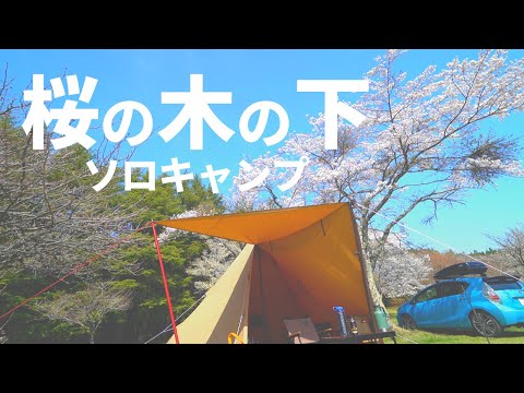 【花見ソロキャンプ】春だ！花見だ！ペペロンチーノ！(仮)