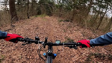 Biken auf dem Geierskopf mit Trail nach Hohensachen