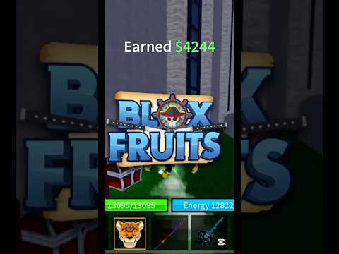 اهمية اكواد بلوكس فروتس و انواعها