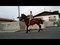Andando de cavalo na rua top✌🔊