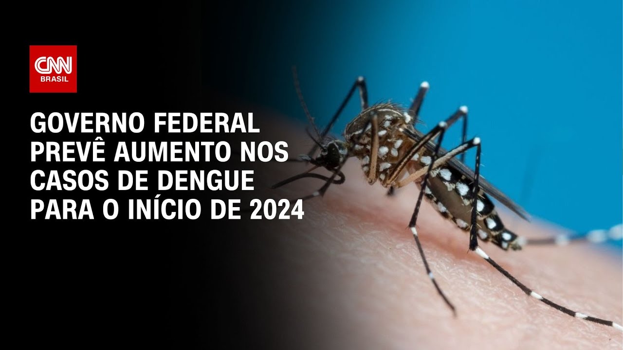 OMS prevê 4 milhões de casos de zika nas Américas em um ano