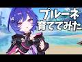 毒ナﾋ… プルーネは強い？年収は？彼氏は？育ててみました。【原神Live