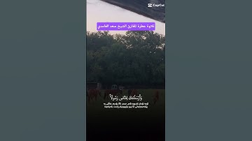 ماتيسر من تلاوة للشيخ سعد الغامدي حفظه الله #القرآن_الكريم  #تلاوة_خاشعة  #سعد_الغامدي  #ذكر_الله