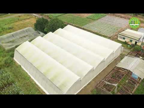 Video Nong Lam University - Ho Chi Minh City (NLU) - youtube