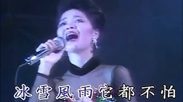 鄧麗君 - 梅花 1984 HD Teresa Teng - Mei Hua with Pinyin Lyrics
