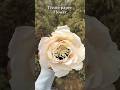 Tissue paper flower making| paper flower tutorial| #shorts #craft