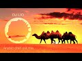 Arabic dj mix top chill out hits 2021         by dj lio