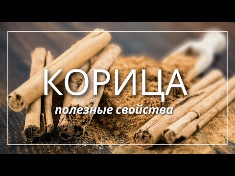 КОРИЦА | Полезные свойства | Аюрведа