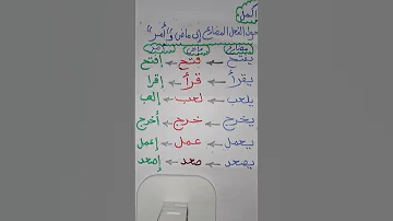 الفعل المضارع والفعل الماضى والفعل الأمر 
