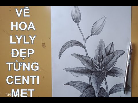 Vẽ hoa ly là một trải nghiệm tuyệt vời để tưởng tượng và sáng tạo. Hãy cùng xem hình ảnh về những bông hoa ly được vẽ tinh tế và tỉ mỉ để tạo thêm động lực cho bạn bắt đầu một tác phẩm mới.