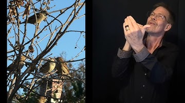 ASL Dale Withrow signs Eye On The Sparrow