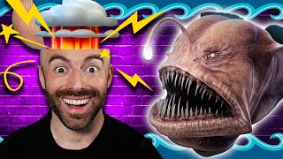 50 AMAZING Facts to Blow Your Mind! 175 by Matthew Santoro 90,913 views 1 month ago 10 minutes, 52 seconds