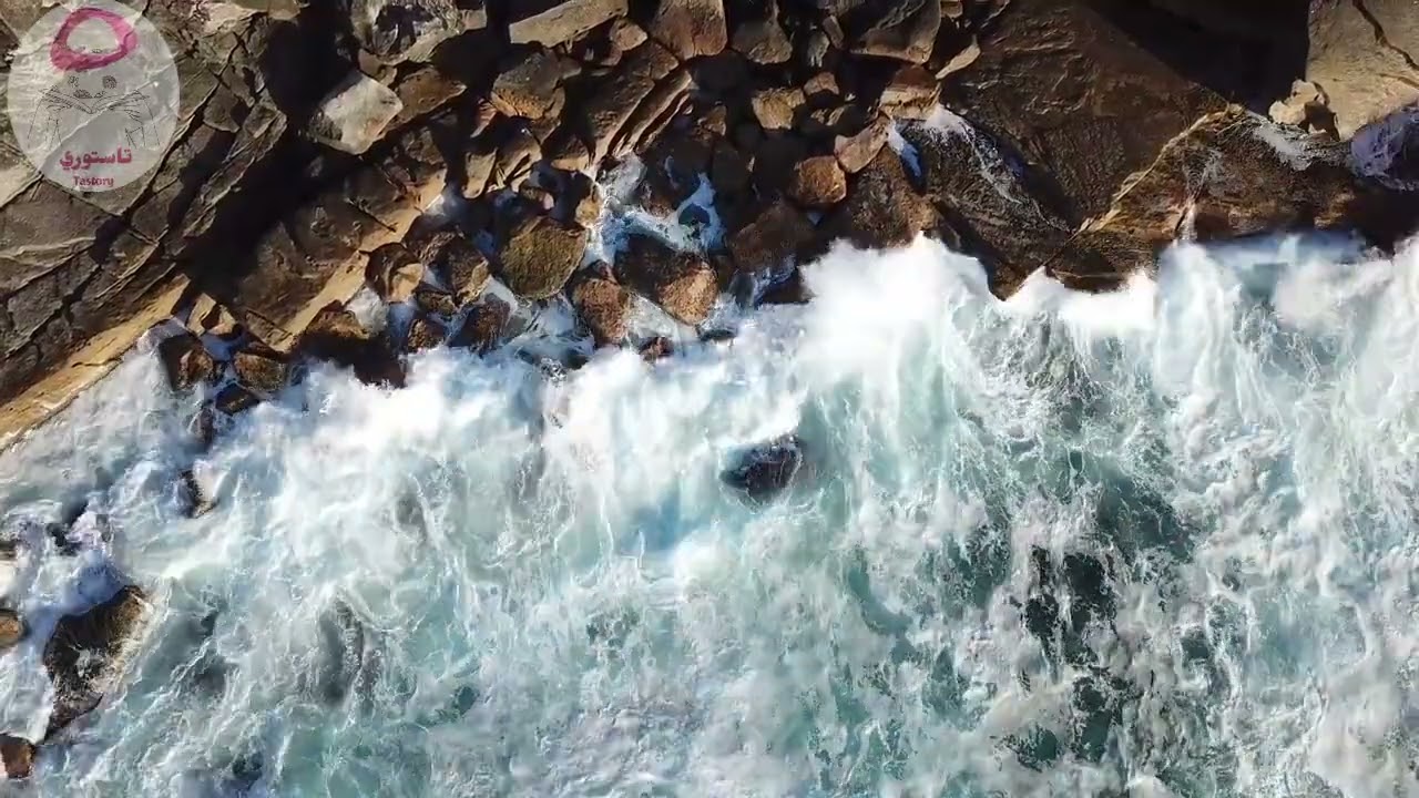 قصص واقعية من ملفات الطب النفسي رح تهكر دماغك 👉🏻 #تاستوري