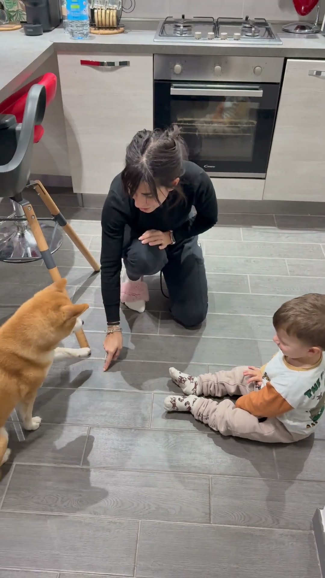 Boy Pretends To Be Shiba Inu || ViralHog