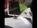 Aranha se vê no espelho pela primeira vez.