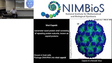 Exploring nanobiological structures