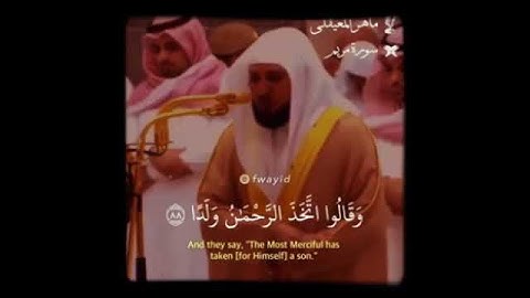 حالات واتس اب(وقالوا اتخذ الرحمن ولدا) تلاوة خاشعة