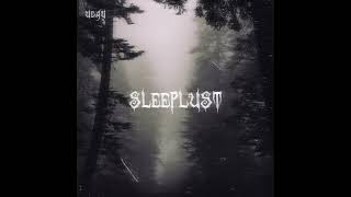 Sleeplust (Slowed and Reverb)