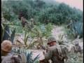(7/11) Battlefield II Okinawa 7 of 11 World War II
